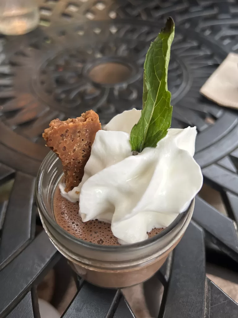 Chocolate mousse with whipped topping, garnished with a cookie and a mint leaf.