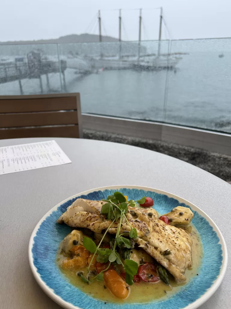 Cod fish meal on a plate with the harbor background