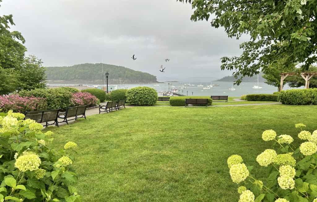 Image of Agamont Park lawn and Frenchman Bay in the background
