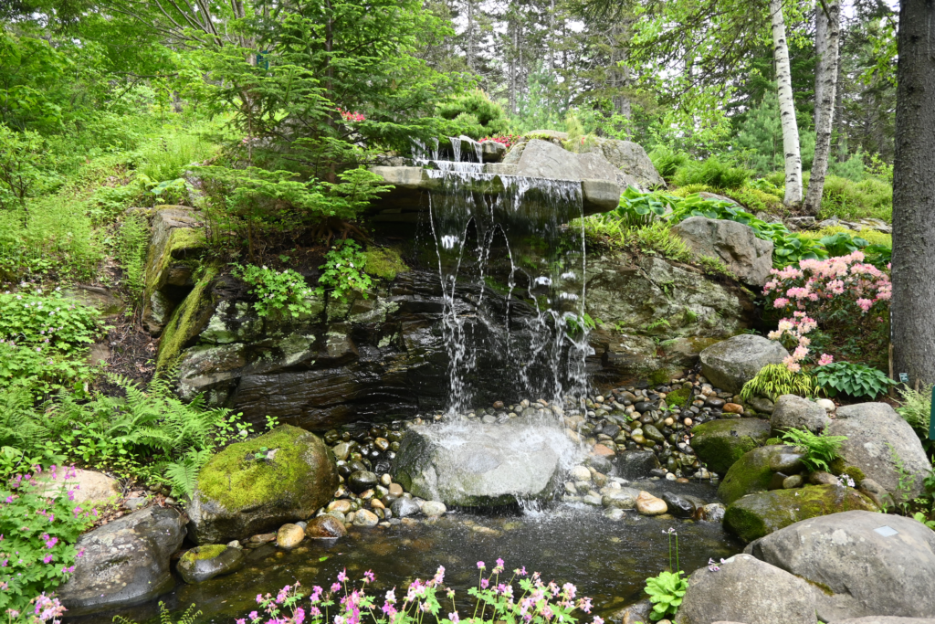 Image of a waterfall in the Coastal Botanical Gardens woods