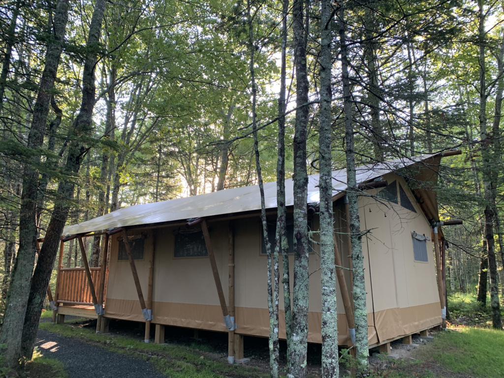 Image of the Terramor tent in the woods