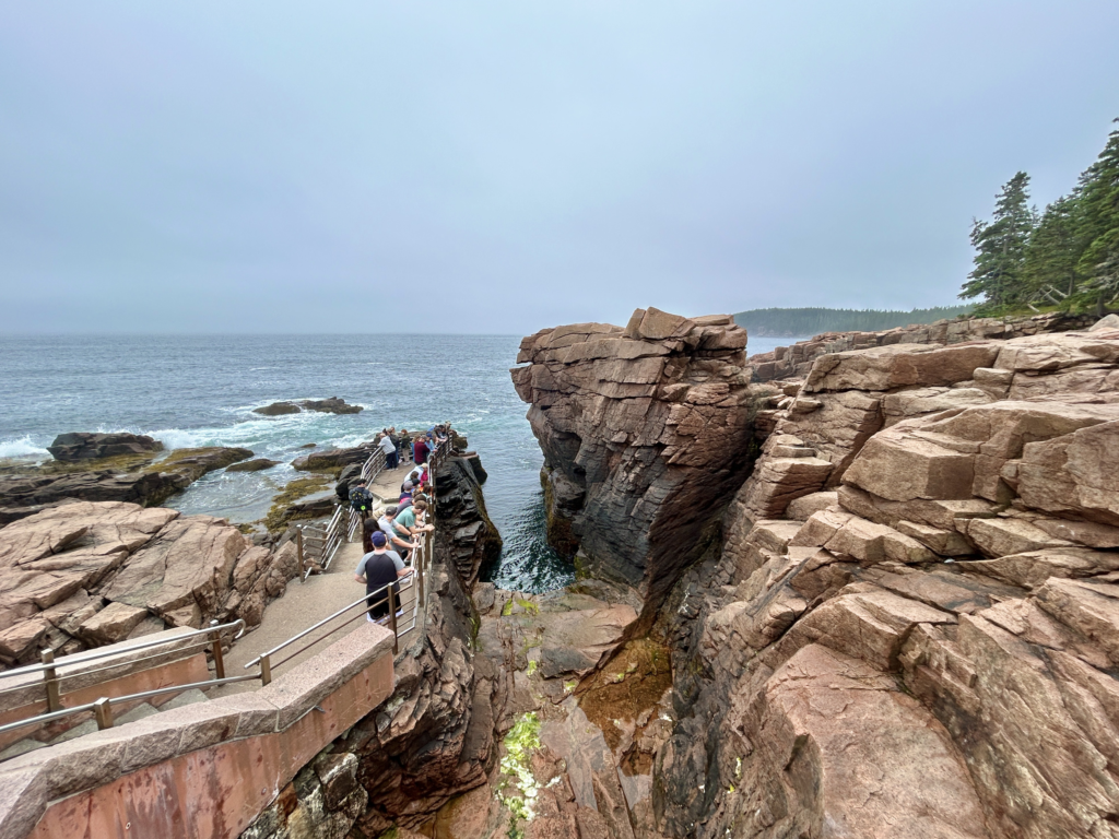Image of Thunder Hole in Acadia NP