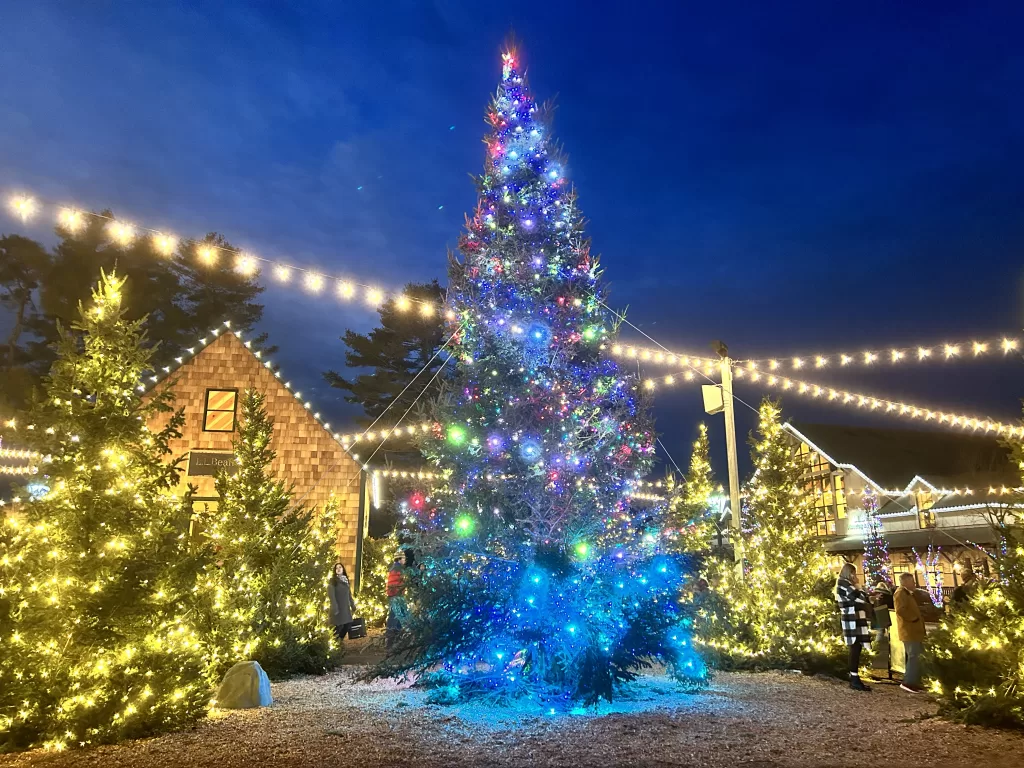 Village and Christmas tree decorated in Christmas lights
