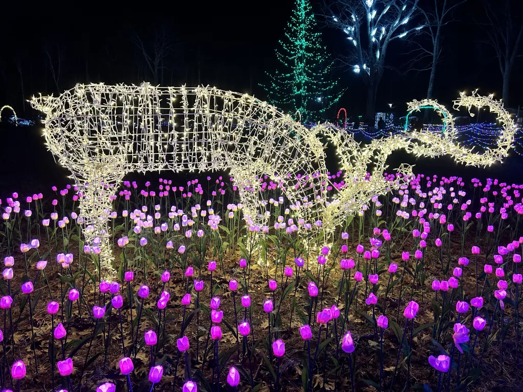 Lighted deer yard ornament in the field of lighted tulips